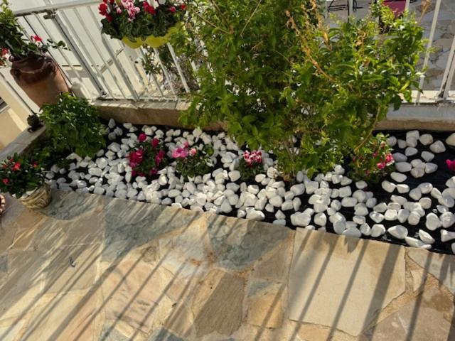 Appartement Panorama Γλυκά Νερά - Athens Extérieur photo