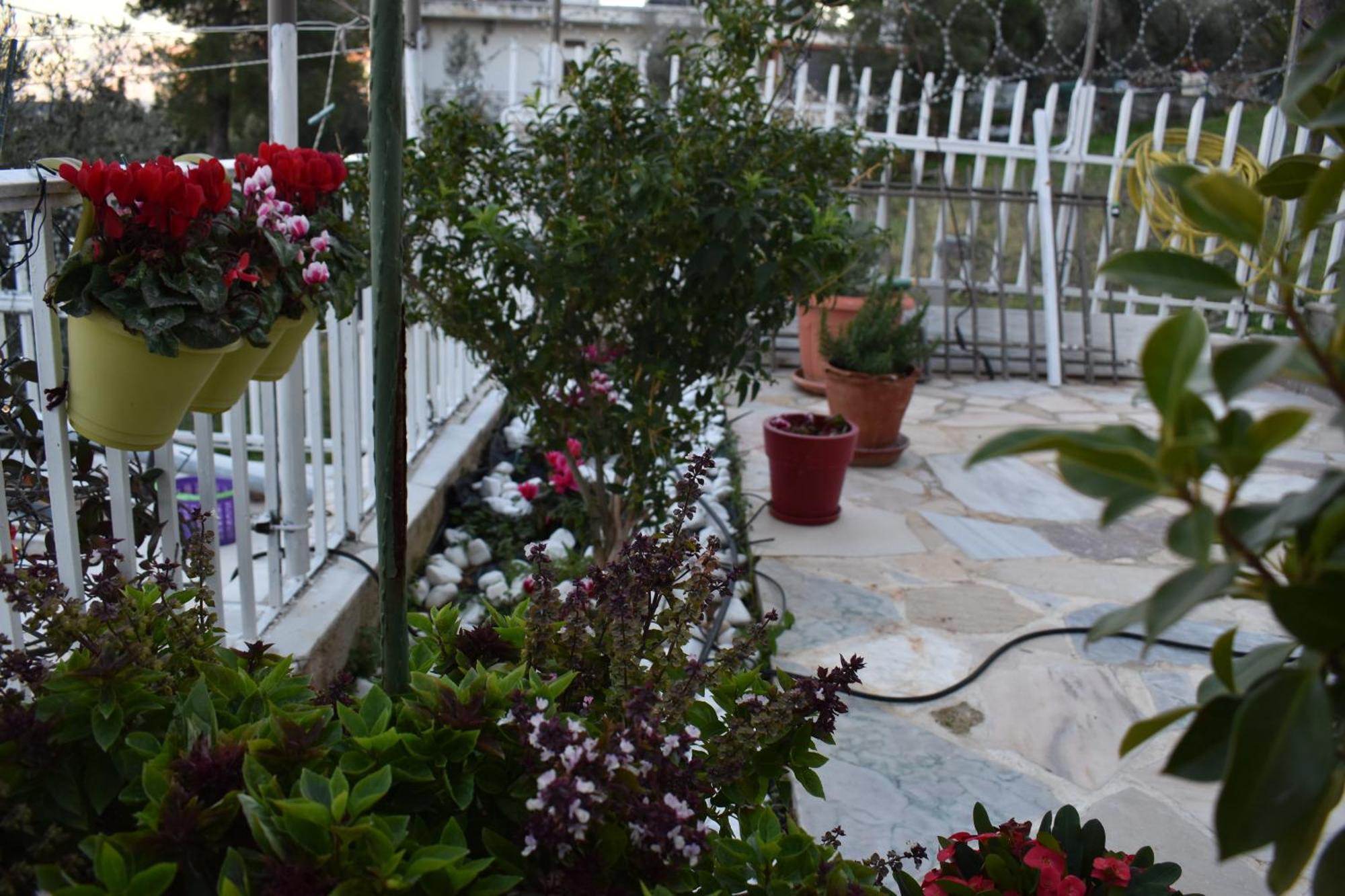 Appartement Panorama Γλυκά Νερά - Athens Extérieur photo